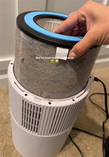 Shark True HEPA Air Purifier Review