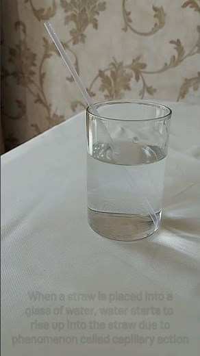 Capillary action experiment with straw #shorts #experiment #science