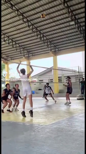 Volleyball Lowlights: Unmissable Moments and Edits