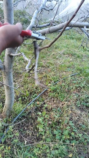 #fblifestyle #viralphotochallenge #travelphotography #StarsEverywhere | Situ Chauhan Orchardist