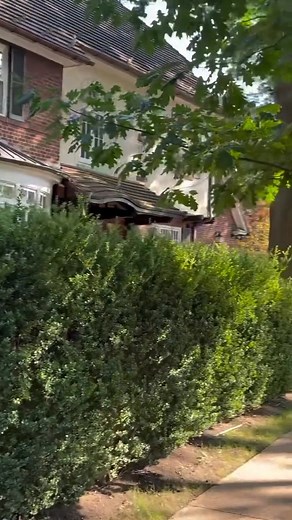 104K views · 6.5K reactions | Forest Hills  #queens #newyorkcity | New York Today | Facebook