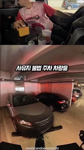 미국의 노빠꾸 견인