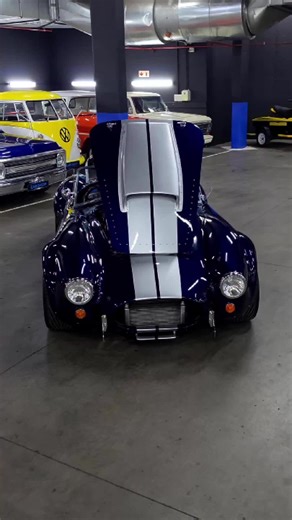 2010 Backdraft AC Cobra 7.0: Your Dream Car Awaits