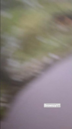 drew a basilisk🌸#art #basilisk #drawing #pencildrawing #shorts #shortvideo #fyp #fypシ #fypシ゚viral