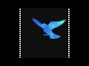 BLUE BIRD IKIMONO GAKARI INSTRUMENTAL