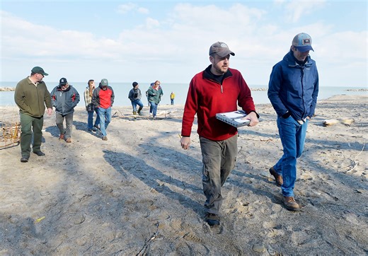 Presque Isle 2022 spring beach walk reveals better conditions