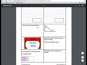Primary 5-a-day Explained