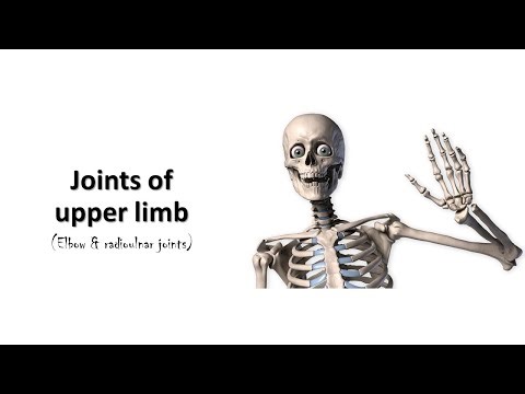 Elbow and radioulnar joints. Prof. Dr. Md. Ashfaqur Rahman