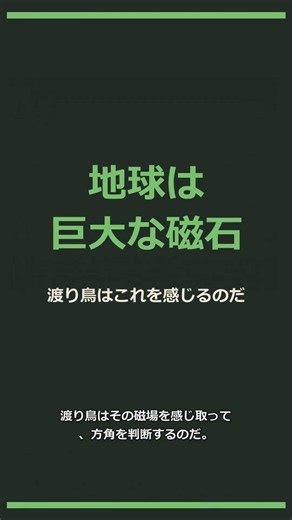 【雑学】渡り鳥の秘密兵器。磁場を感じて方角を知るのだ