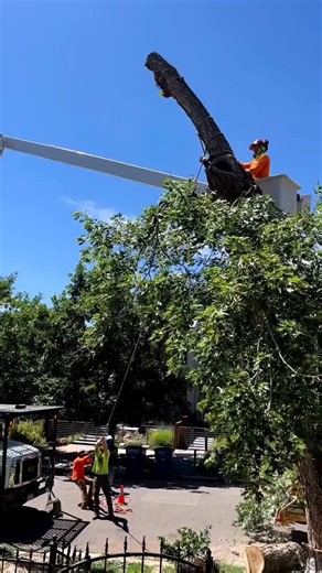 Jack Woodwork on Instagram: "🚨 Earth’s Largest Collection of Woodworking Plans is HERE! 🪚✨ Get instant access to over 16,000 "done-for-you" projects with step-by-step instructions, HD photos, blueprints & diagrams — perfect for beginners and pros alike! . 🔧 Don’t have a big workshop or fancy tools? No problem! These plans make it laughably easy to build stunning projects on a budget. . 🎯 Here's what you’ll get: ✔️ 16,000+ woodworking projects ✔️ CAD/DWG software for plan editing ✔️ Step-by-s