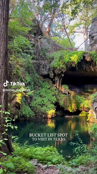 Bucket list spot to visit in Texas! #fyp 📍Westcave Outdoor Discovery Center