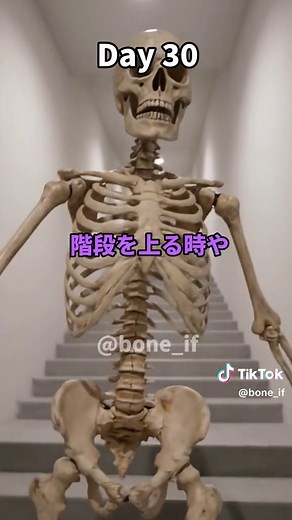 毎日縄跳び100回の効果