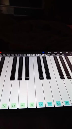 ‏surf cruise - freaks