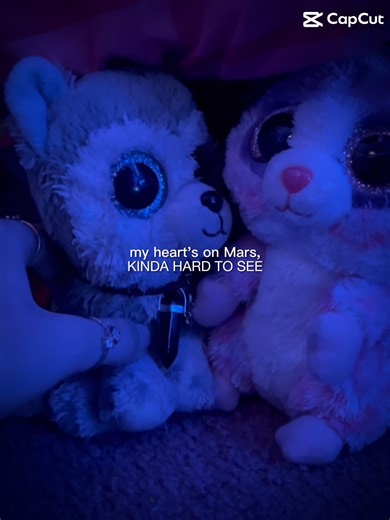 Another old beanie boo edit(don’t mind the hands) #christmas #love #beanieboos #edit #cool