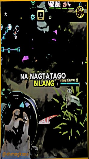 Boss Doggie: The Idol of the Community