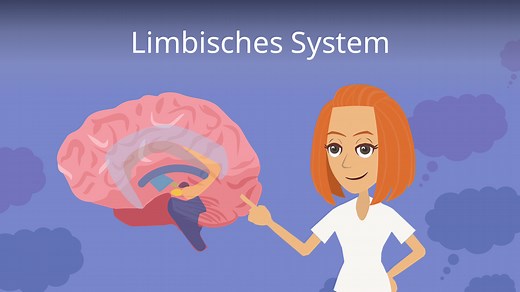 Limbisches System • einfach erklärt: Bestandteile