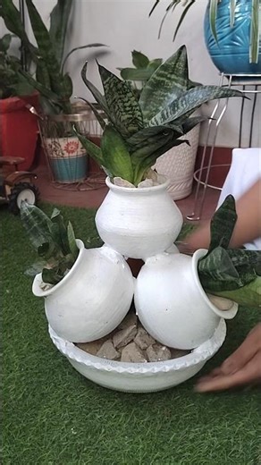 पुरानी मक्खियों का गार्डेन में कैसे इस्तेमाल करें #Gardeningtips #Diyplanter #shorts #trending