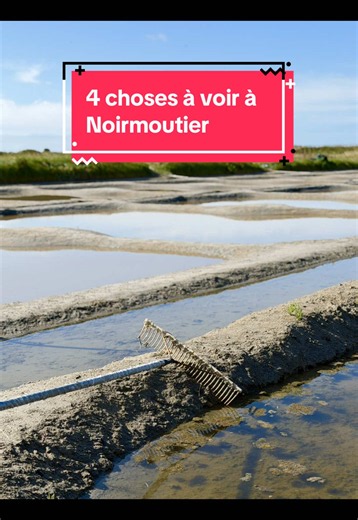 4 choses à faire à Noirmoutier 🤩 #vendee #noirmoutier #francetour #tourist #france