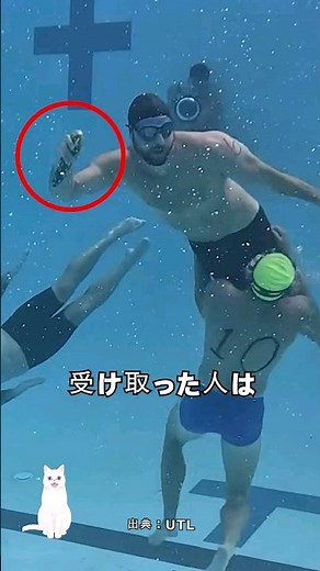 A fight in the water