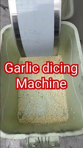 Garlic dicing Machine丨Garlic Dicer丨garlic chopping machine丨what is the best machine to chop garlic