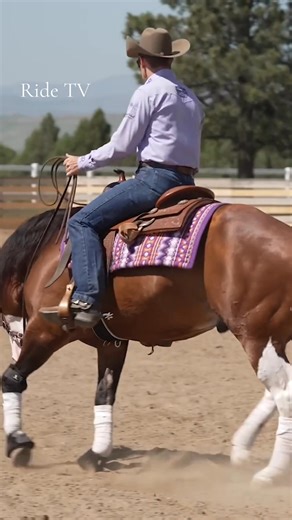 Struggling with hip or back control? Ryan Rushing breaks it down in this new Ride TV video with a simple exercise you can try at home. Whether you’re bringing along a green reiner or tuning up a seasoned horse, this tip helps you dial in body control in any discipline! Watch Ryan Rushing’s new reining masterclass over on Ride TV 🔗 https://bit.ly/4lnGJp4 | Ride TV