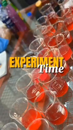 Ilmesters An IB 🌍 School | 🧪 PYP 5 explored acids using a red cabbage indicator, observing color changes and revising key vocabulary 🎨📚 #PYP5 #IlmestersSchool... | Instagram