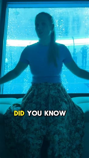 Deep Spot is one of the hidden gems of Poland that’s definitely worth visiting! 💧 | Polish Foodies - The Best Polish Food Recipes