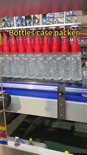 Mineral Water and Beverage Bottle Cartoning Machine #bottles case packer machine#packingmachine