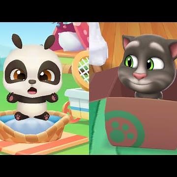 My Talking Panda Vs My Talking Tom-2