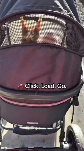 Click. Load. Go. - The Isofix Pet Stroller 🐾