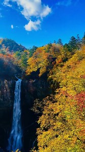 📍 Nikko, Japan ✨ Sacred shrines surrounded by lush mountain beauty BOOK NOW: https://japanichibantours.com/private-nikko-day-tour-from-tokyo-temples-waterfalls-scenic-beauty/ ✉️ japanichibantours@gmail.com | info@japanichibantours.com 📞 WhatsApp: 81 90-3486-7744 📸 Instagram: japan_ichiban_tours | Japan Ichiban Tours