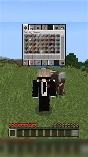 Minecraft But You Can Change My Gamemode #2