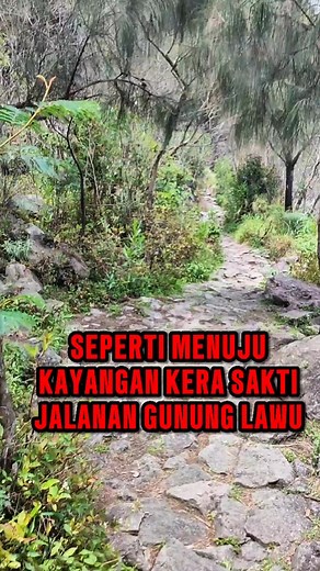 Pendakian Menakjubkan ke Gunung Lawu via Cemoro Sewu