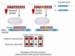 4.1K views · 92 reactions | Many techniques exist for testing whether...
