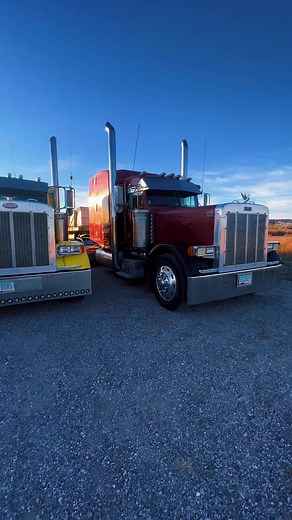 Bunch of Old Iron still earning its keep! #oldirontruckin #peterbilt #peterbilt379 #peterbilt359 #dieseltrucksonly #oldschooltrucking #oldschooltrucks #rollcoal #hotrodtrucks #dieseltrucks #custompetes #caterpillar