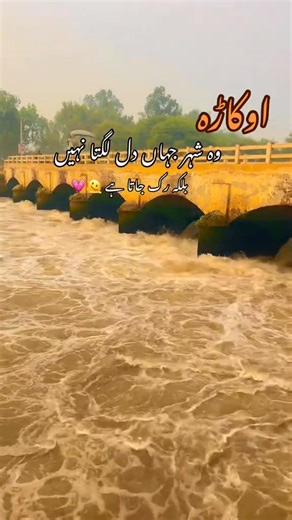 #okara | Okara اوکاڑہ