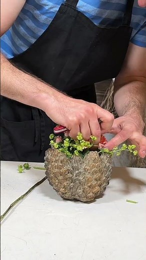 Sonnenblume im Topf #diy #deko #sommer #sommerdeko #blumenmann