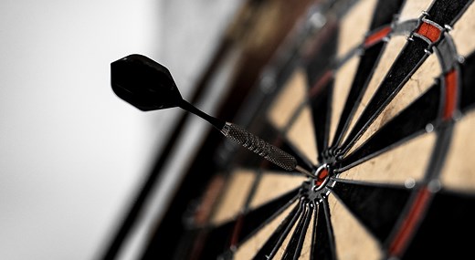 6 Best Dart Shafts Reviewed in Detail (Jan. 2025)