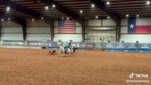 Team Ropers Showcase Heel Shots at Rodeo Tok