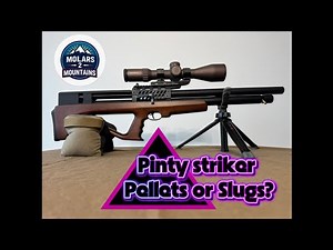 Pinty Striker ….. Pellets or Slugs??