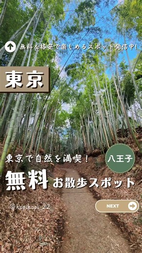 🍄詳細情報はここから👇 国史跡に指定されている続100名城の城跡🏯 城本体はないものの、自然の地形を活かした堀や土塁が残っていて歴史を感じながら散策できる･･♪ ARアプリで当時の様子を再現できるそうだが、私達の端末ではインストールすらできなかった･･･。 スタンプラリーもあって、散策しながらスタンプを集めるのも楽しい🙌 （※用紙は持参） 各所にベンチやテーブル、広場があるのでお弁当を持ってピクニックするのもおすすめ🍙 春には桜、5月にはヤマツヅジ、秋には紅葉と季節を感じられる🌸🍁 東京とは思えない穴場スポットで、森林浴をしながらお散歩におすすめ！ ◌国史跡指定の続日本100名城🏯 ◌桜やツツジや紅葉など楽しめる🌸🍁 ◌無料駐車場あり🅿️ ■滝山城跡（たきやま じょうせき） 📍東京都八王子市高月町 🚘中央道「八王子IC」から約10分 🚊京王またはJR「八王子駅」北口からバス「滝山城址下」下車 徒歩約15分 【入場料】無料 【駐車場】無料 ‣滝山観光駐車場 8:00−18:00（11月～2月は16時閉鎖） 【トイレ】あり ‣中の丸跡の1ヶ所のみ …………………
