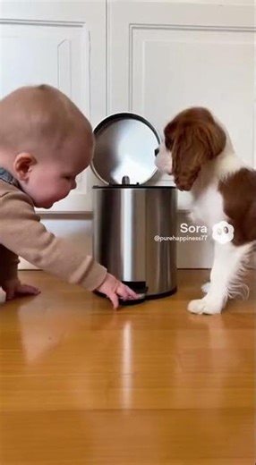 The Day They Opened the Forbidden Lid.