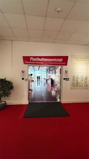 In unserer Werkstatt in Guben verwandeln wir wissenschaftliche Präzision in beeindruckende Kunstwerke, die du bei KÖRPERWELTEN bestaunen kannst. Jeder Schritt, von der Fixierung bis zur Härtung, erfordert unglaubliche Geduld und Detailverliebtheit. 👩‍🔬👨‍🔬 Ein Meisterwerk der Anatomie entsteht nicht über Nacht – es ist ein Prozess voller Leidenschaft und Hingabe. Entdecke die Faszination selbst und lass dich inspirieren! ✨ #Körperwelten #Plastination #FaszinationAnatomie #WissenschaftUndKunst