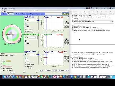 Lady Bug Simulation: Step by Step