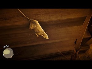 And this is how you get a perfect rat pelt in RDR2