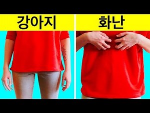 초보자를 위한 26가지 간단한 미국식 수화