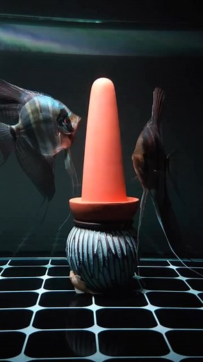 #atabapo | Premium Aquarium in Mongolia