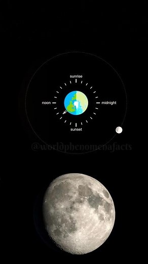 "First Quarter & Full Moon Explained"|🌑🌎 #worldphenomenafacts #astronomy #universe #shorts #trending