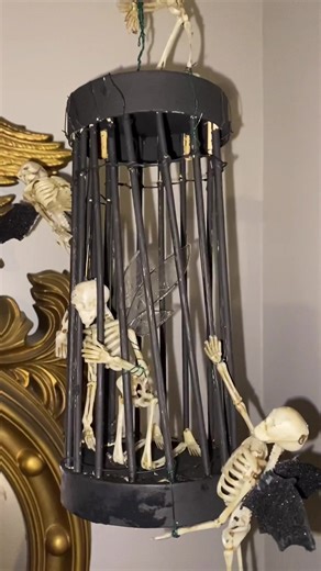 Fredrick’s Corner on TikTok