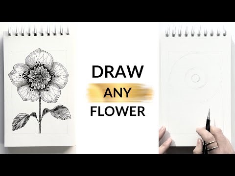 The Secret to Drawing Realistic Flowers with Just Lines | Hellebore Tutorial